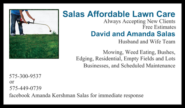 salas affordable lawn care tree surgeons carlsbad nm lawn care businesses