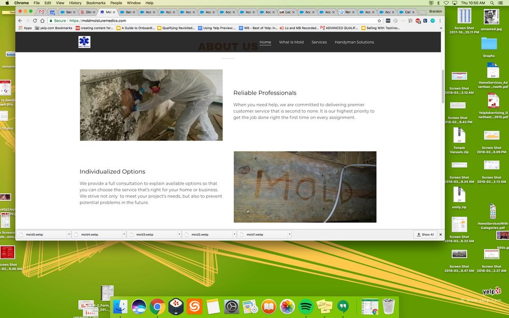 Mold & Moisture Medics