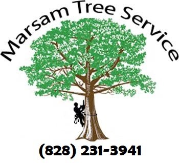 Marsam Tree Service