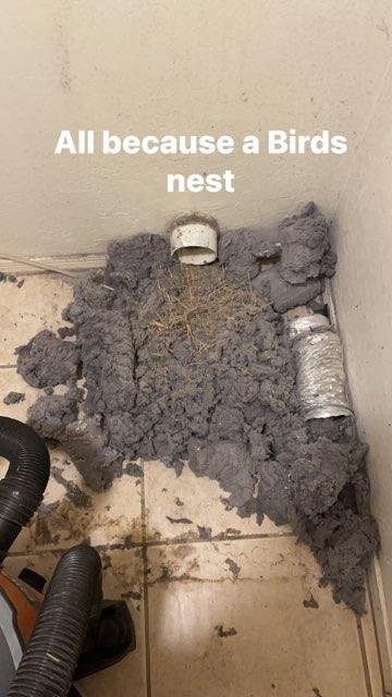 Lint Busters Dryer Vent Cleaning