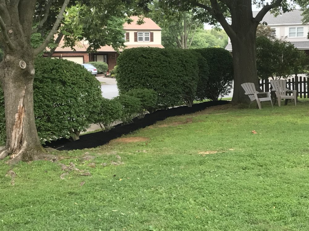 Ancone Landscaping