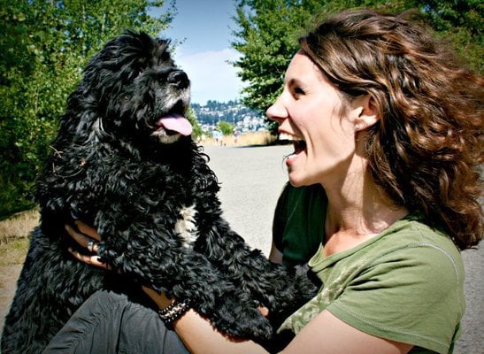 Rover.com - Dog Boarding & Sitting gift card