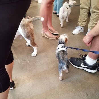 Photo of Boris & Horton - New York, NY, United States