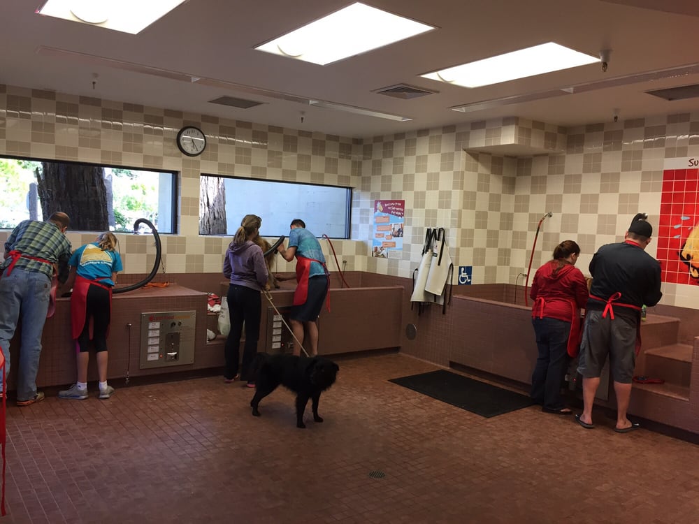 Pet Food Express