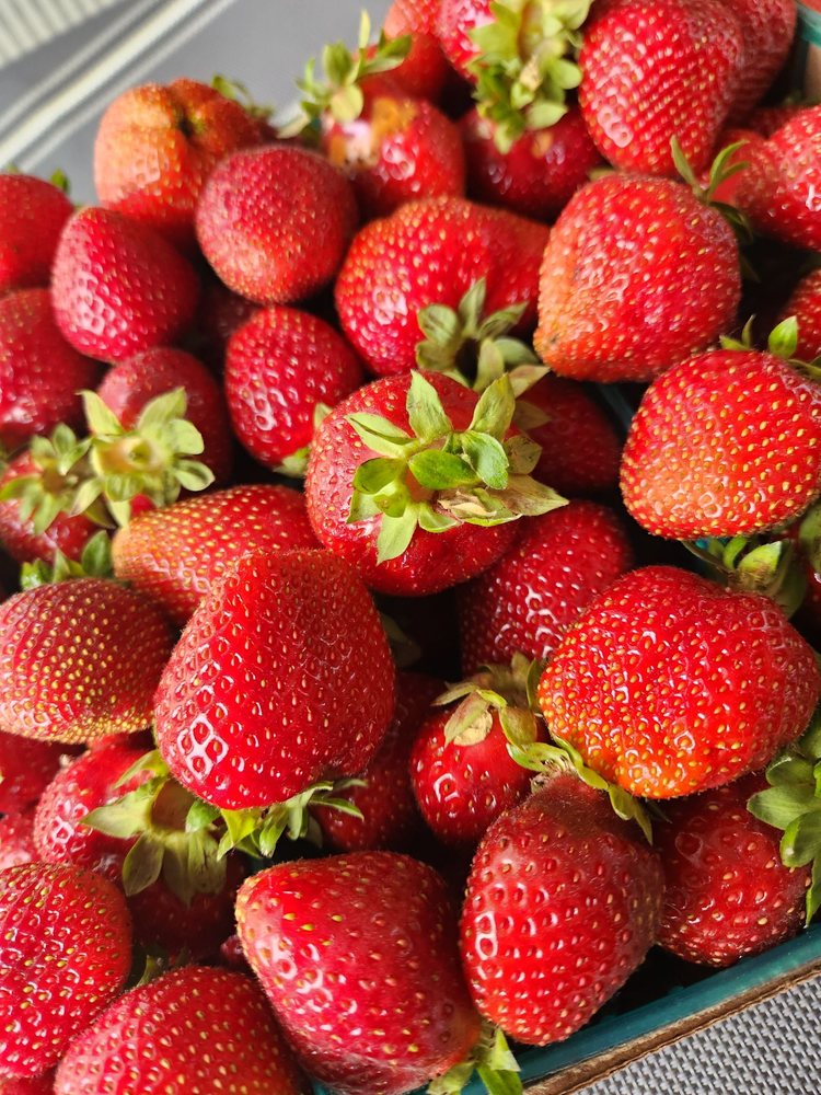 Strawberries Picked Fresh Daily