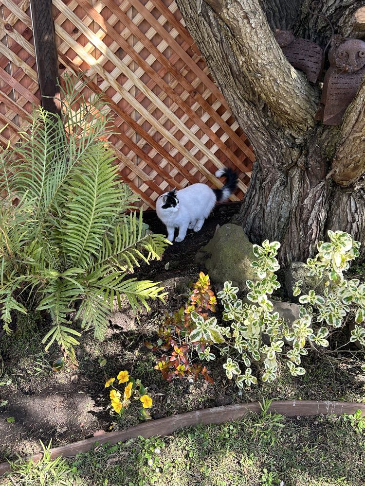 Two Generations Landscaping