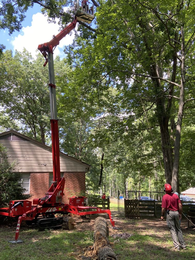 Linebergers Tree Service