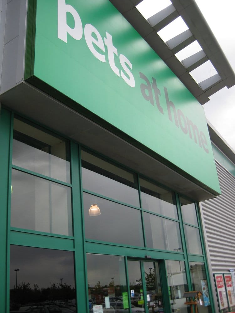 oaklea boarding kennels