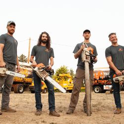 Urban Timber Tree Service New 33 Photos 24 Reviews Urban Timber Tree Service New 33 Photos 24 Reviews