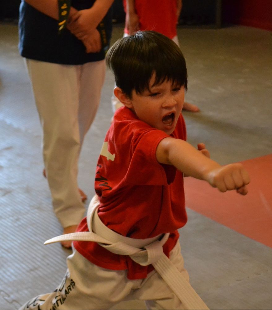 Mountain Kim Martial Art Spirit Manassas