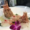 Uri Sushi&grill