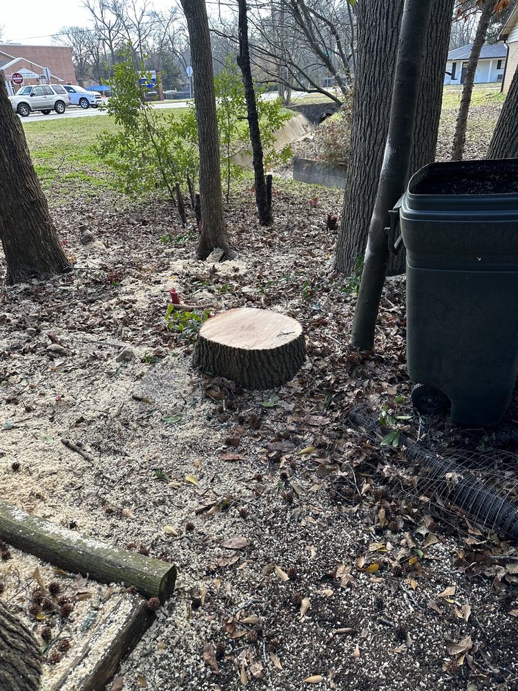 Banda’s Tree Service and Lawn Care