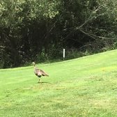 Laguna Seca Golf >> Laguna Seca Golf Ranch Book A Tee Time 53 Photos 39 Reviews Laguna Seca Golf >> Laguna Seca Golf Ranch Book A Tee Time 53 Photos 39 Reviews