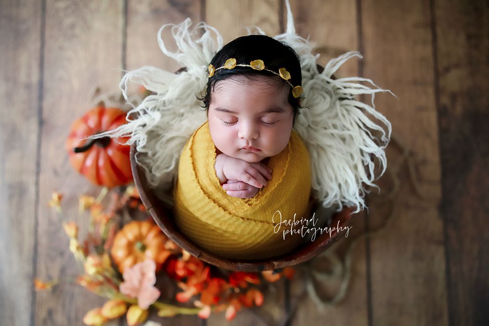 Jaebird Photography