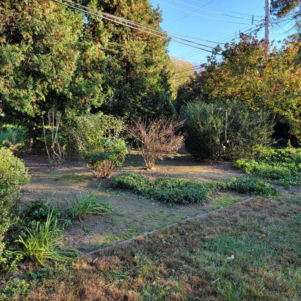 Hollywood Landscaping