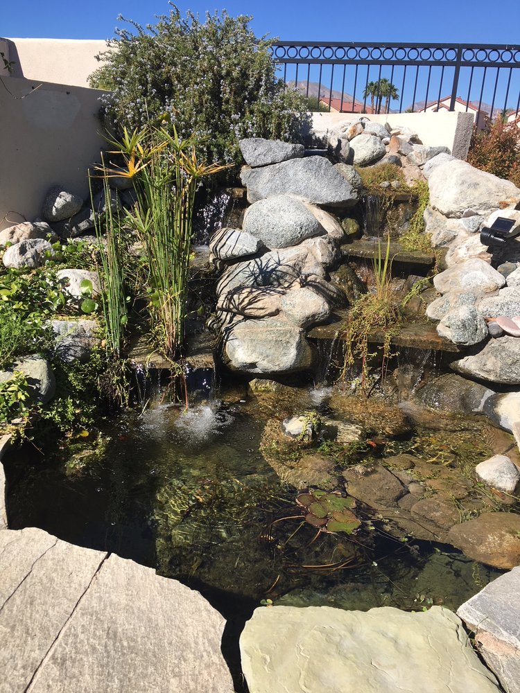 Complete Pond Care 12 Photos Landscaping Southwest, Las Vegas, NV