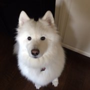 Connolly’s Furniture - 44 Photos & 134 Reviews - Furniture Stores