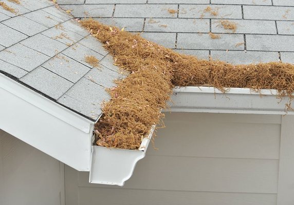 Gutter Helmet Of The Pikes Peak Region 13395 Voyager Pkwy Suite 130 Gutter Helmet Of The Pikes Peak Region 13395 Voyager Pkwy Suite 130 Colorado Springs Co Gutters Downspouts Mapquest