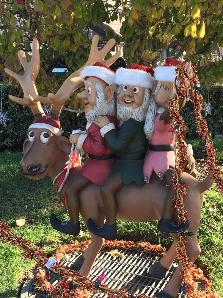 Thoroughbred Christmas Lights 578 Photos & 151 Reviews Local Flavor 8287 Thoroughbred St