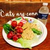 River Kitty Cat Cafe