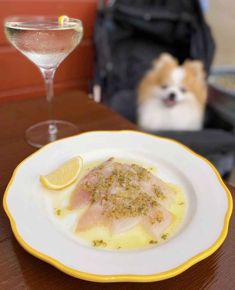 Ciccio