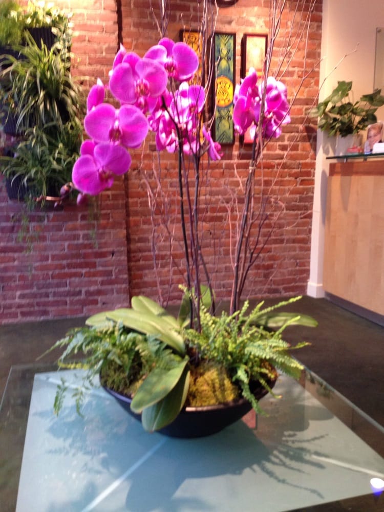 image of business Tremont Dental Care