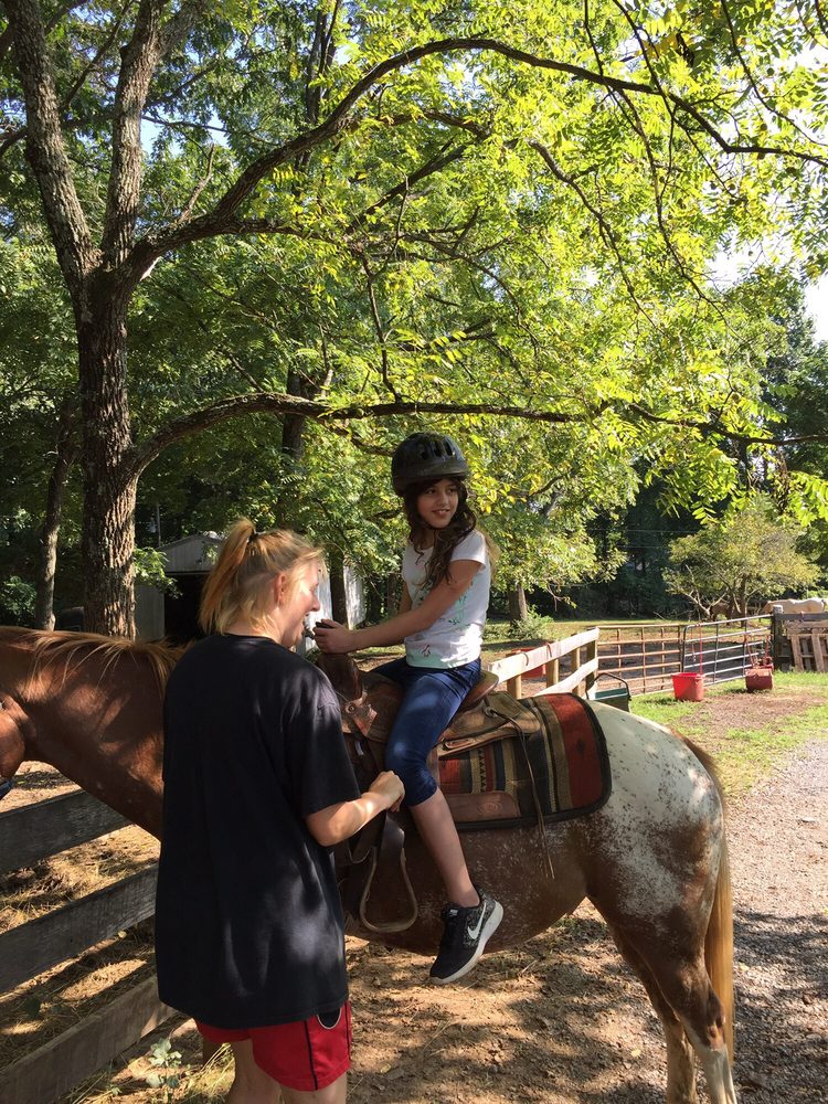 Hogback Mountain Pony Rides
