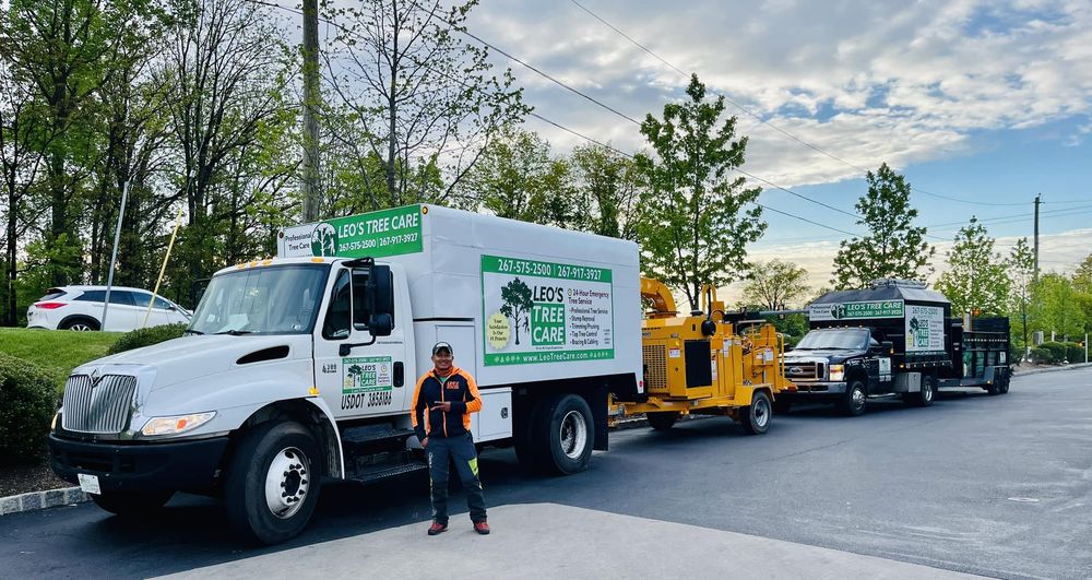 Leo's Tree Care
