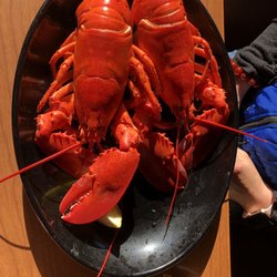 Warren S Lobster House 248 Photos 393 Reviews Seafood 11 Photo Of Warren S Lobster House Kittery Me United States Very Sweet