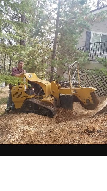Deep Roots Stump Grinding