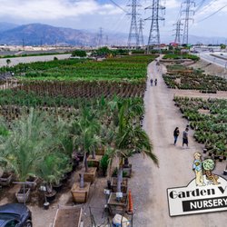 Garden View Nursery 61 Photos 52 Reviews Nurseries Gardening Photo Of Garden View Nursery Irwindale Ca United States