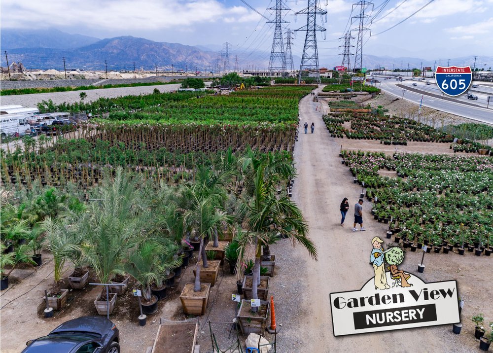 Garden View Nursery 64 Photos 52 Reviews Nurseries Gardening Garden View