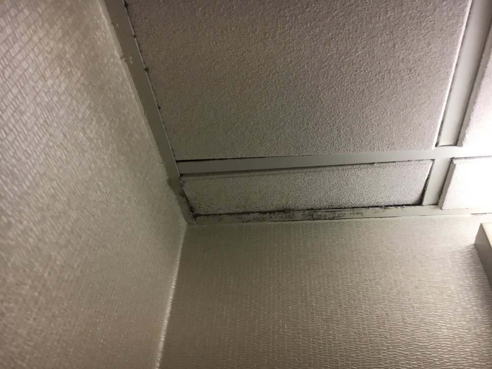 Black Mold On Ceiling Tile Yelp Photo Of Hilton Bellevue Wa United States Black Mold On Ceiling
