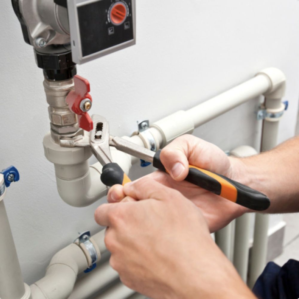 image of business Manny