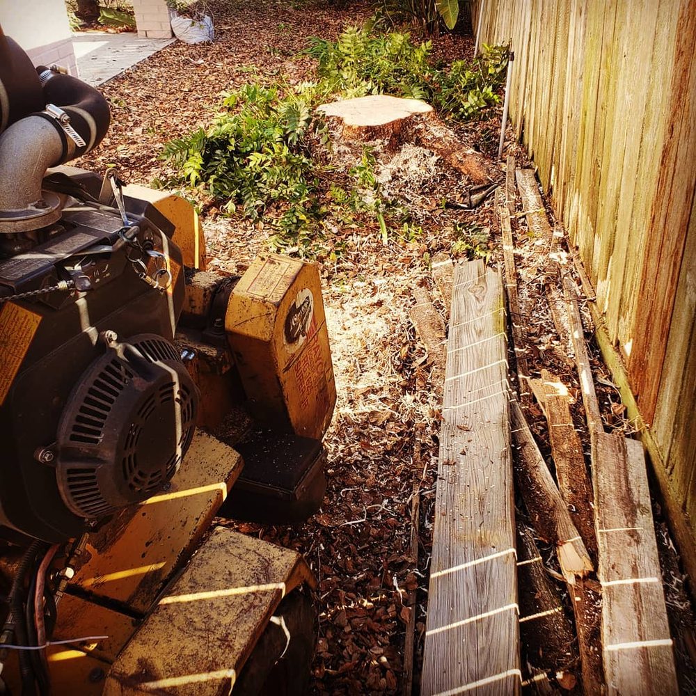 Shows Stump Grinding