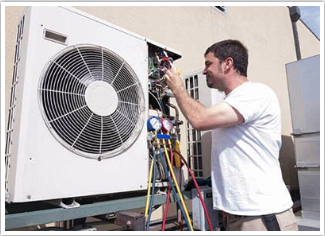 image of business Sonrise Services