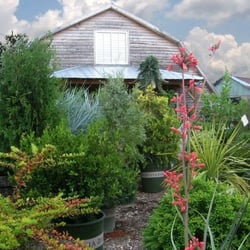 Southbranch Nursery Nurseries Gardening 2991 S Church St Photo Of Southbranch Nursery Murfreesboro Tn United States