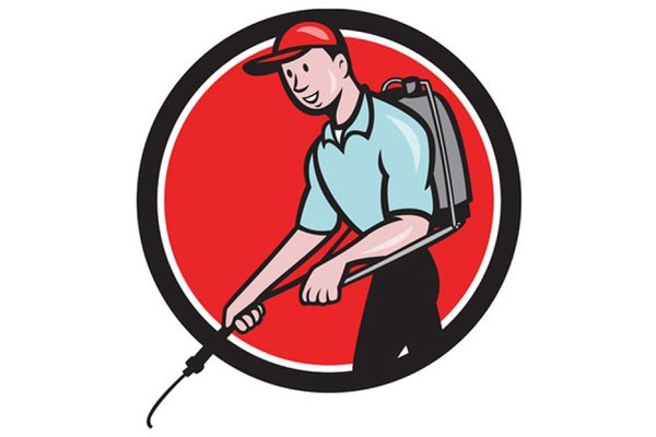 Nosh Property Maintenance Pest Control