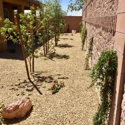 safari landscaping 51 photos 35 reviews landscaping 6829