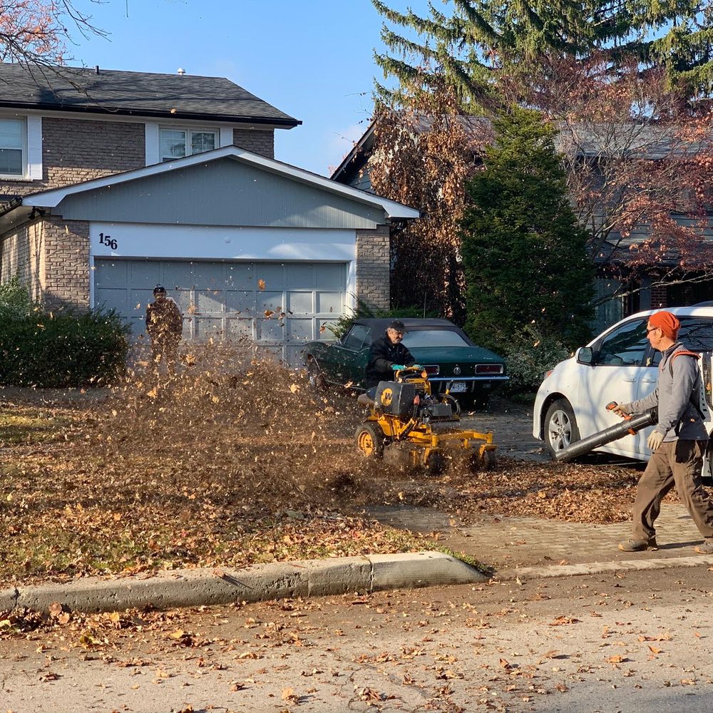 Kenny Kim Landscaping
