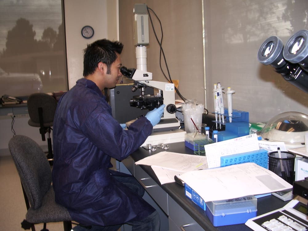 cryobanks market share analysis cryobanks market share analysis