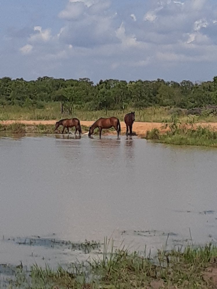 Available RV Rentals Angleton, TX %business_name