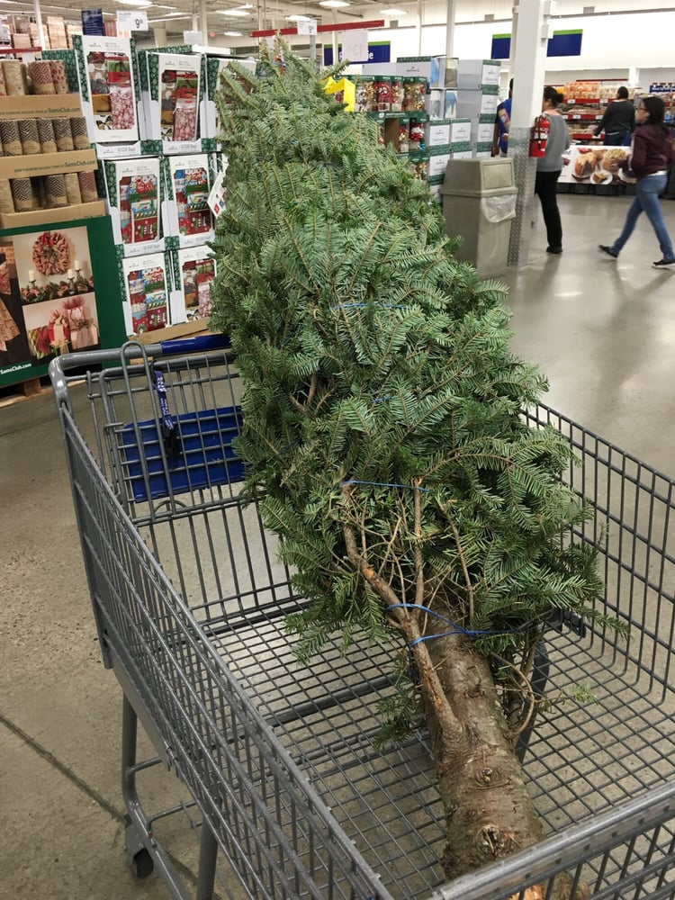 Samsclub Credit Login >> Sam’s Club - Department Stores - 7970 N Mesa St, El Paso ... Samsclub Credit Login >> Sam’s Club - Department Stores - 7970 N Mesa St, El Paso ...