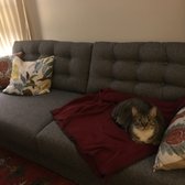 Dania Furniture 21 Photos 67 Reviews S 1905 Photo Of Dania Furniture Portland Or United States Pony Clearly Loves The