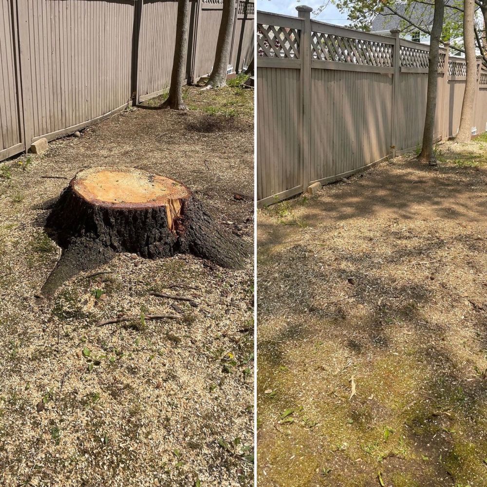 Stump Wrecker