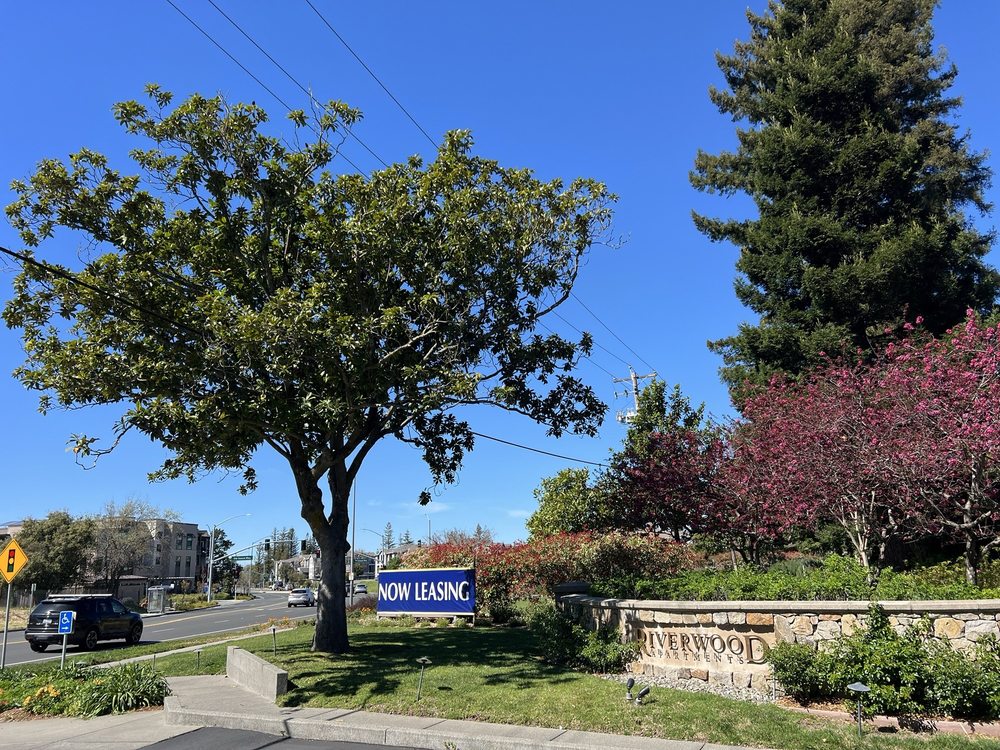 Riverwood Apartments