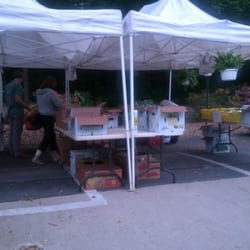Personals in garrett park md