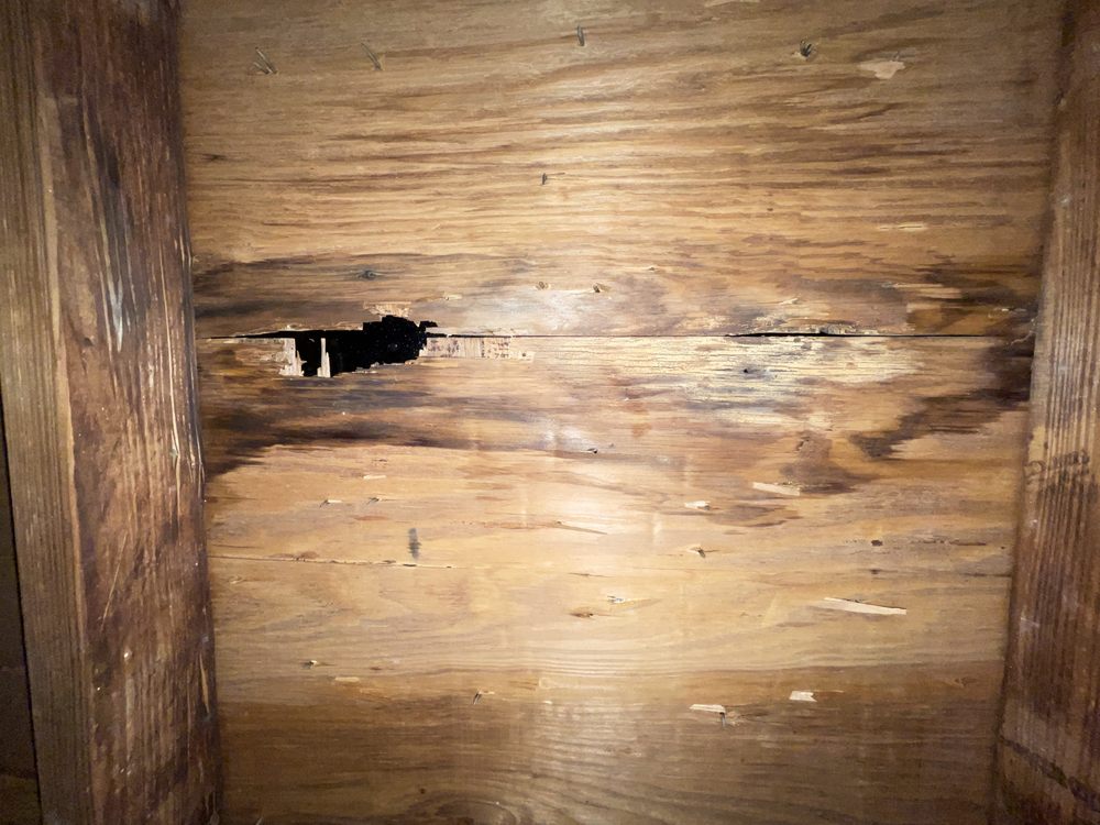 Worthmann
