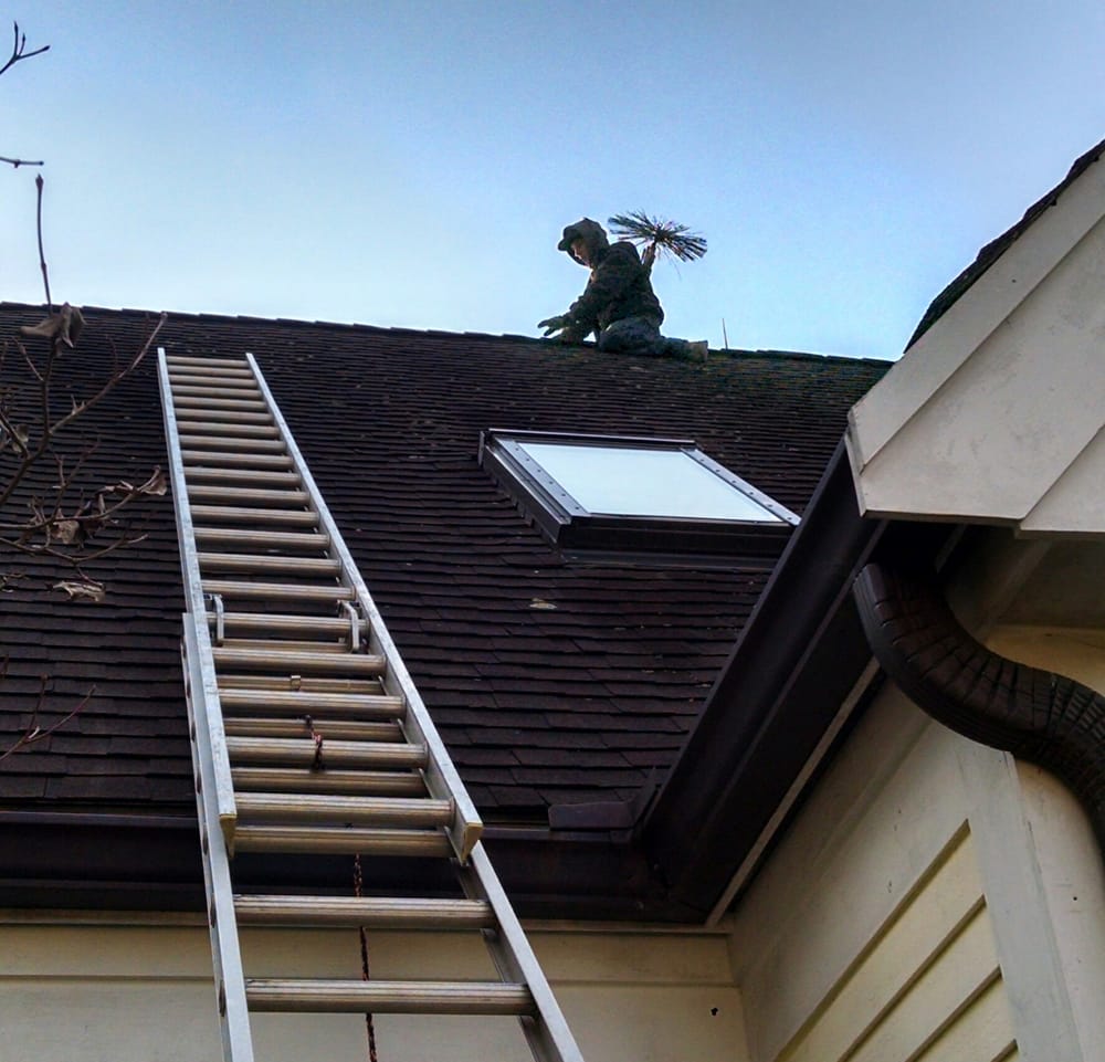 Justin Thyme Chimney Sweeps