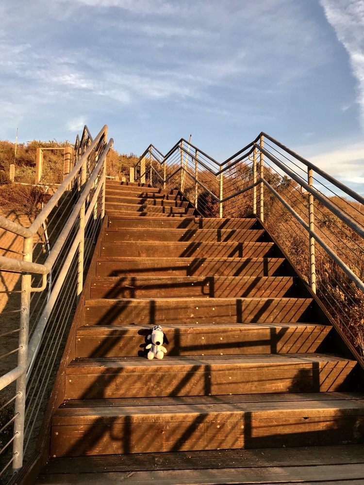 Sea Summit At Marblehead Trail 96 Photos & 21 Reviews Hiking West